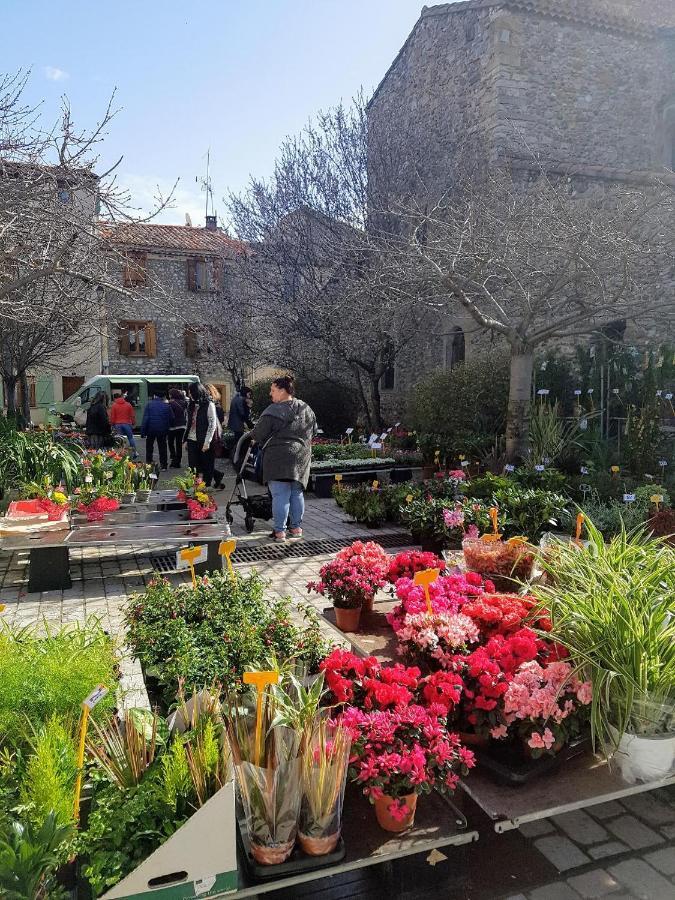 Mountain View Townhouse Quillan Bed & Breakfast Dış mekan fotoğraf